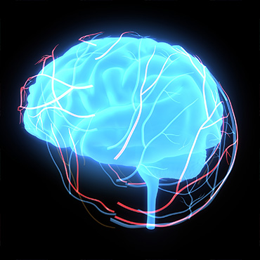 Brain 3D concept