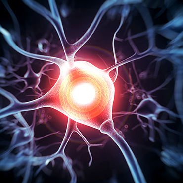 Active nerve cell illustration