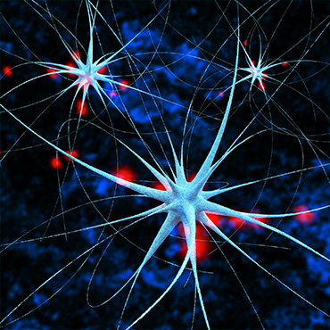 Neuron 3D concept
