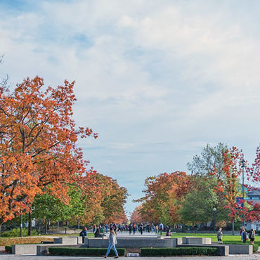 UBC Vancouver Campus in the fall